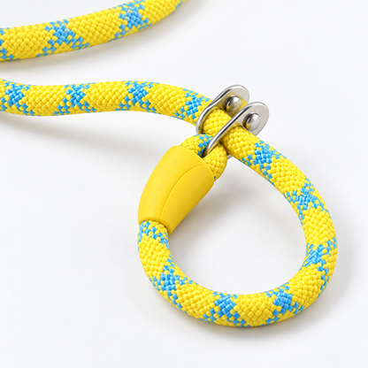 Contrast Yellow Round-Rope P-Loop Dog Slip Lead